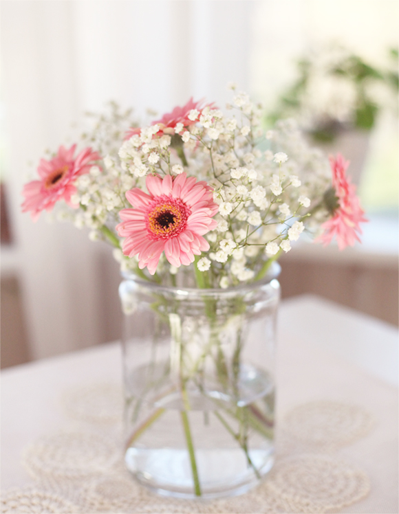 Gerbera_1