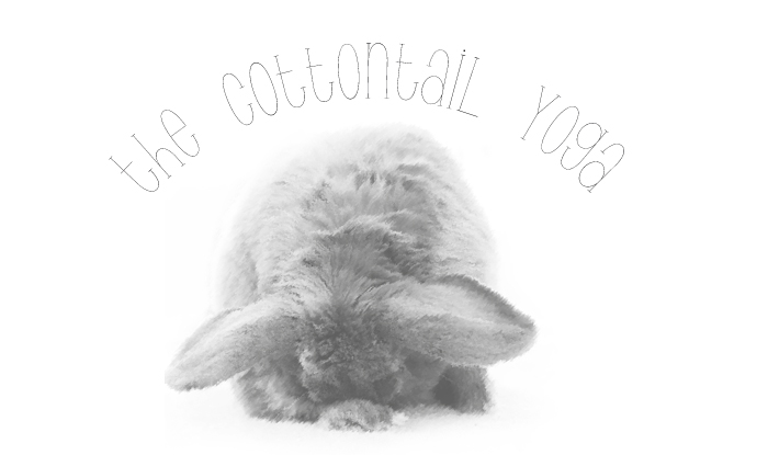 Cottontail Yoga