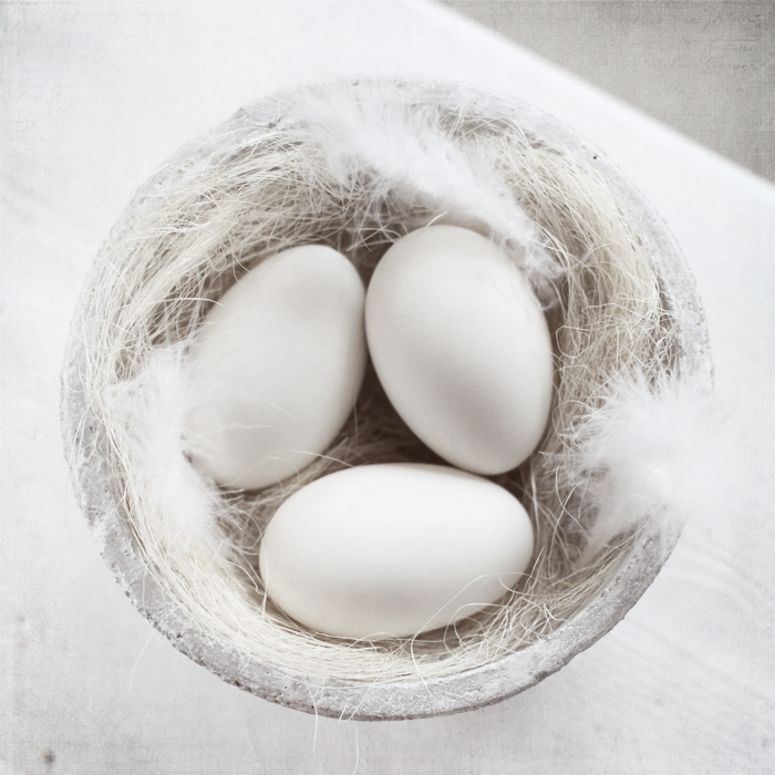 Goose eggs