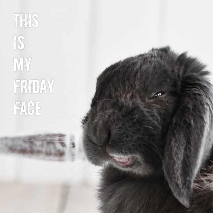 FridayFace