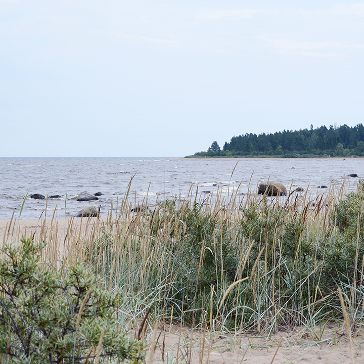 Rullsand_shore_720