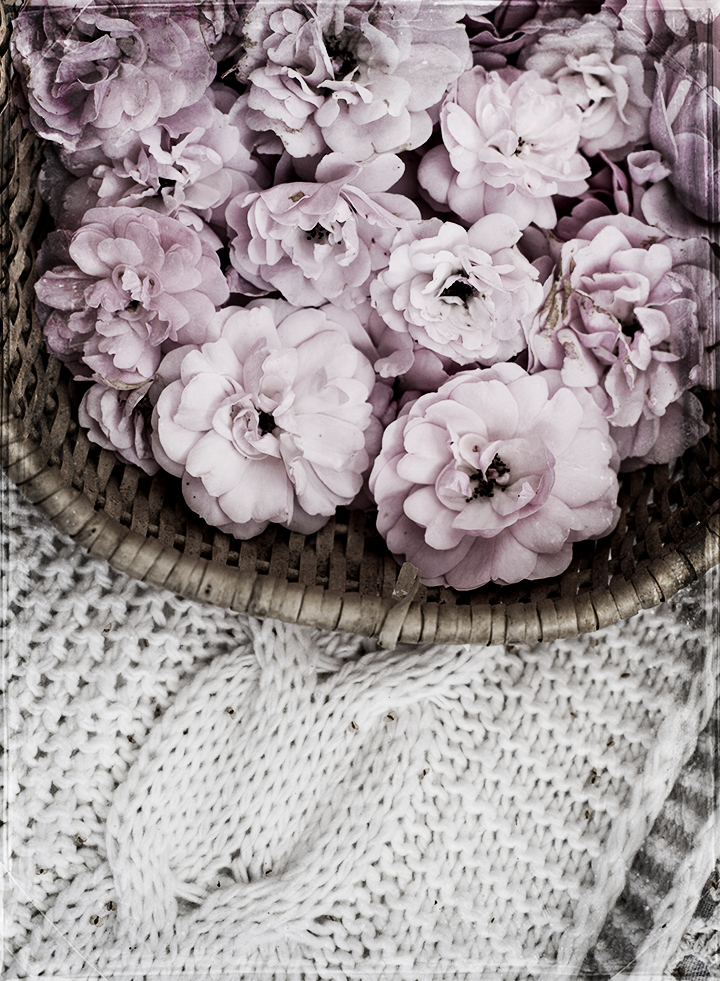 roses_in_basket_1