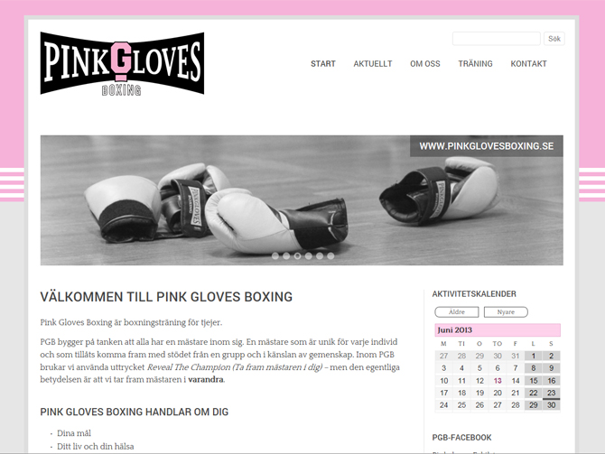 Pinkglovesboxing